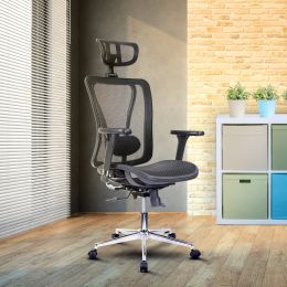 Techni Mobili High Back Executive Mesh Office Chair with Arms; Headrest and Lumbar Support ; Black