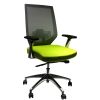 Adjustable Mesh Back Ergonomic Office Swivel Chair with Padded Seat and Casters; Green and Gray
