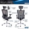 Techni Mobili High Back Executive Mesh Office Chair with Arms; Headrest and Lumbar Support ; Black