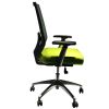 Adjustable Mesh Back Ergonomic Office Swivel Chair with Padded Seat and Casters; Green and Gray