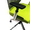 Adjustable Mesh Back Ergonomic Office Swivel Chair with Padded Seat and Casters; Green and Gray