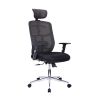 Techni Mobili High Back Executive Mesh Office Chair with Arms; Lumbar Support and Chrome Base; Black