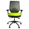 Adjustable Mesh Back Ergonomic Office Swivel Chair with Padded Seat and Casters; Green and Gray